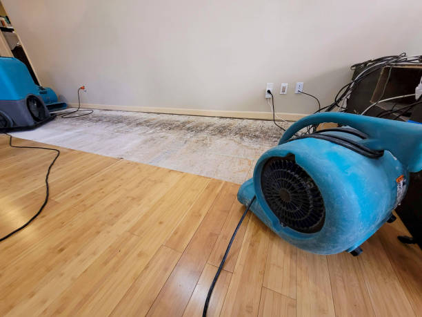 Professional Structural Drying technician working in Somerset, MA